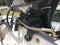 2006 BOSTON WHALER 110 SPORT Base