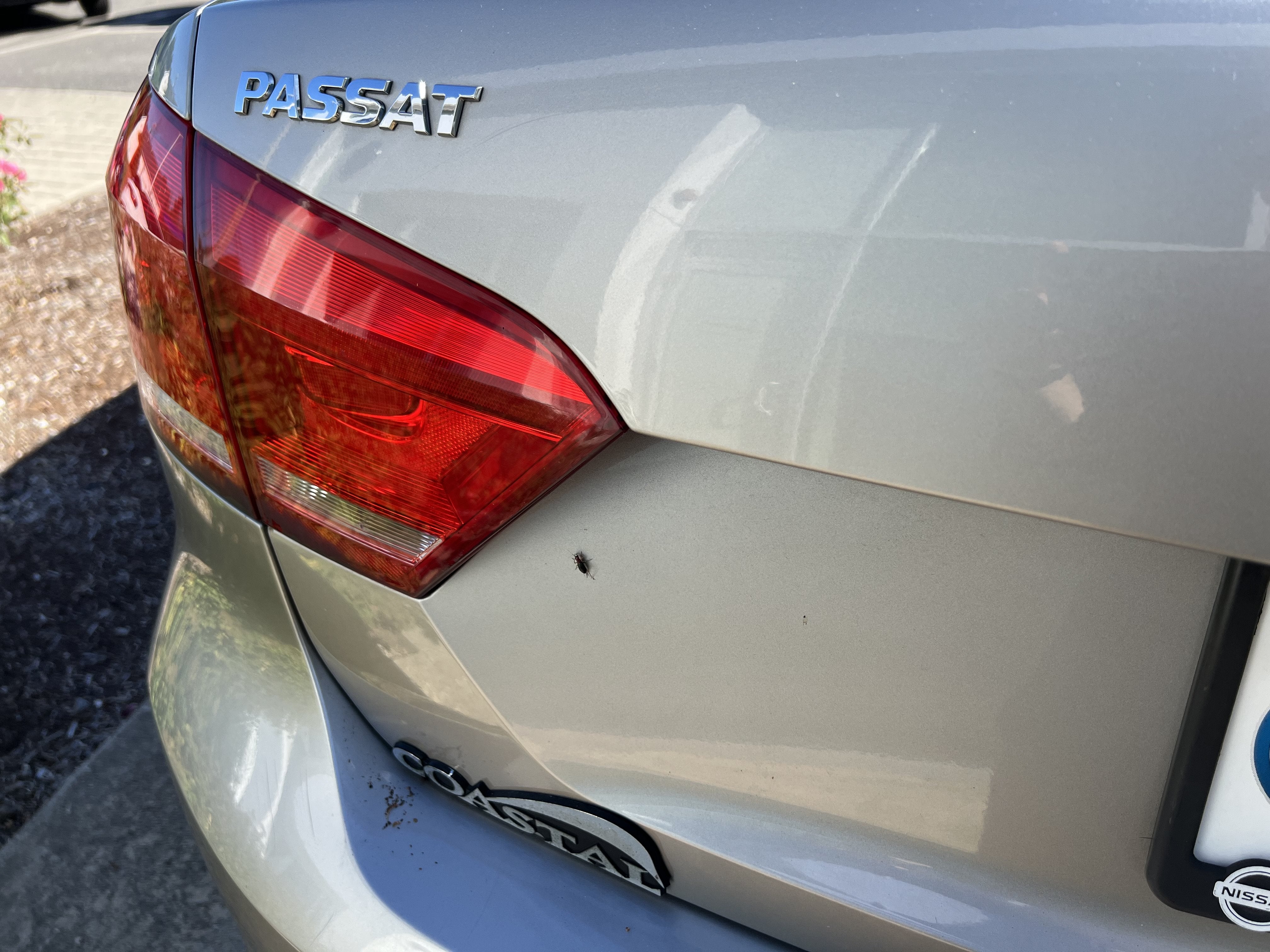 2013 Volkswagen Passat TDI SE w/Sunroof