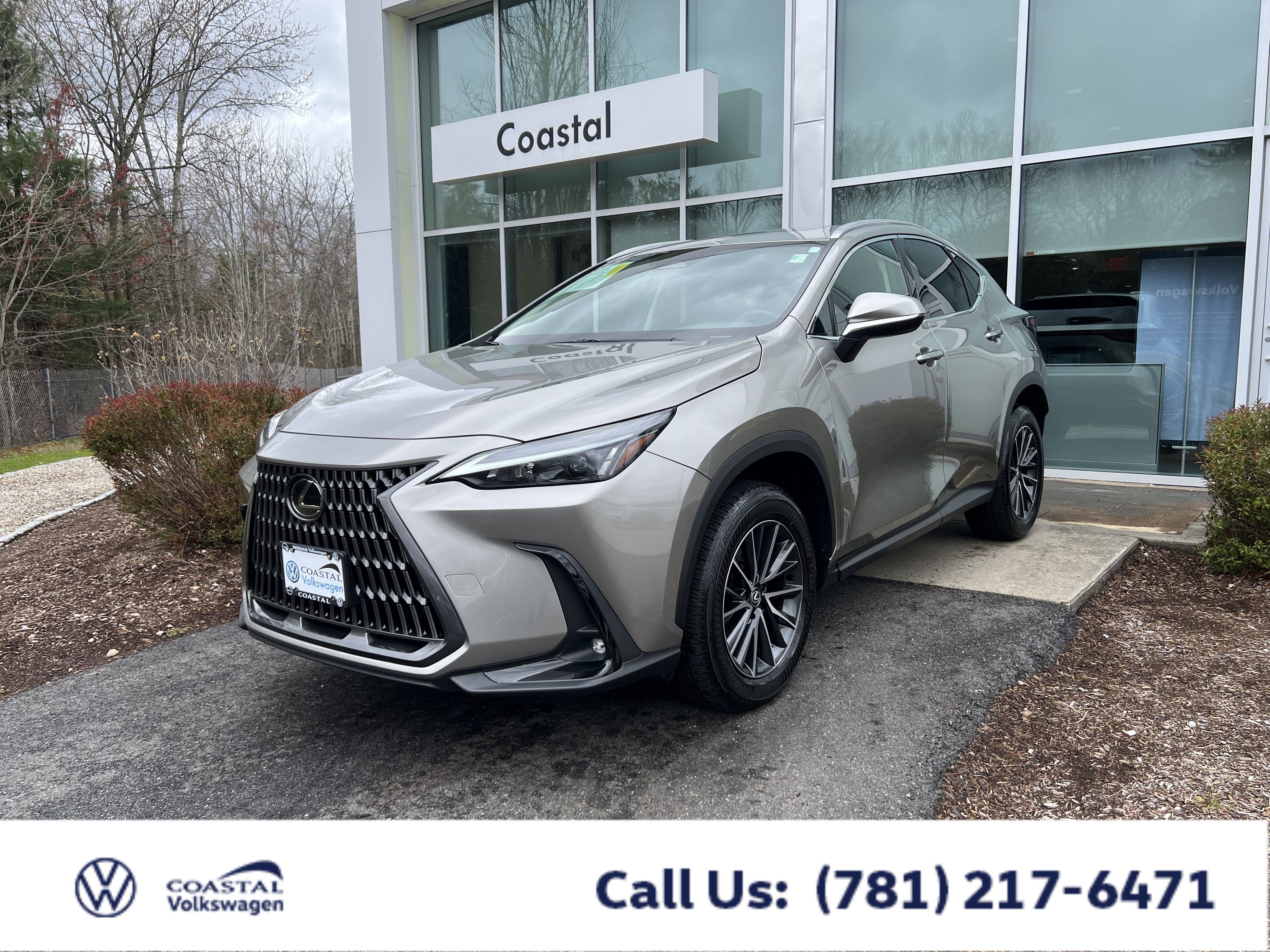 2024 Lexus NX 350 350 AWD's photo