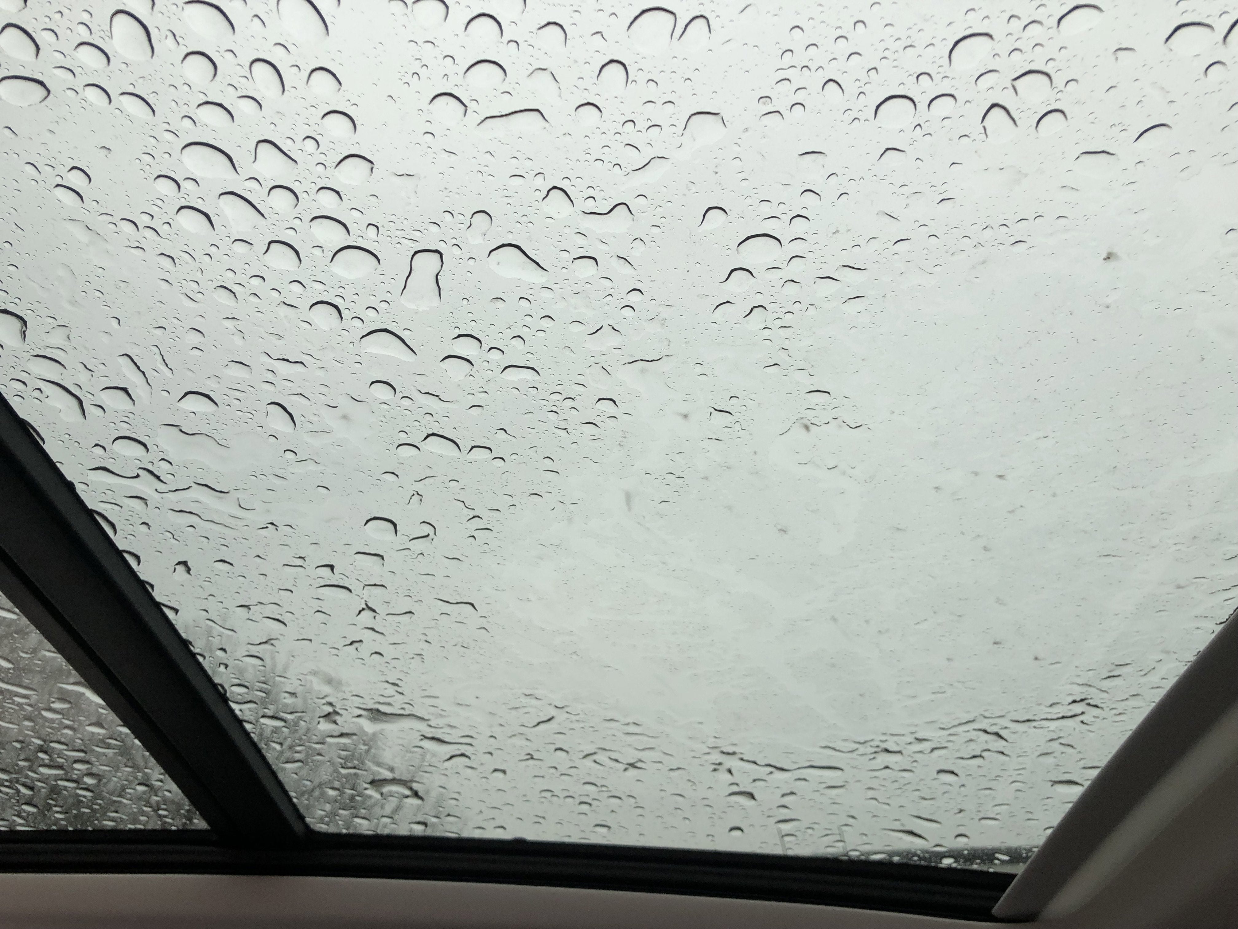 2026 Volkswagen Tiguan SE w/panoramic sunroof