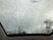 2026 Volkswagen Tiguan SE w/panoramic sunroof