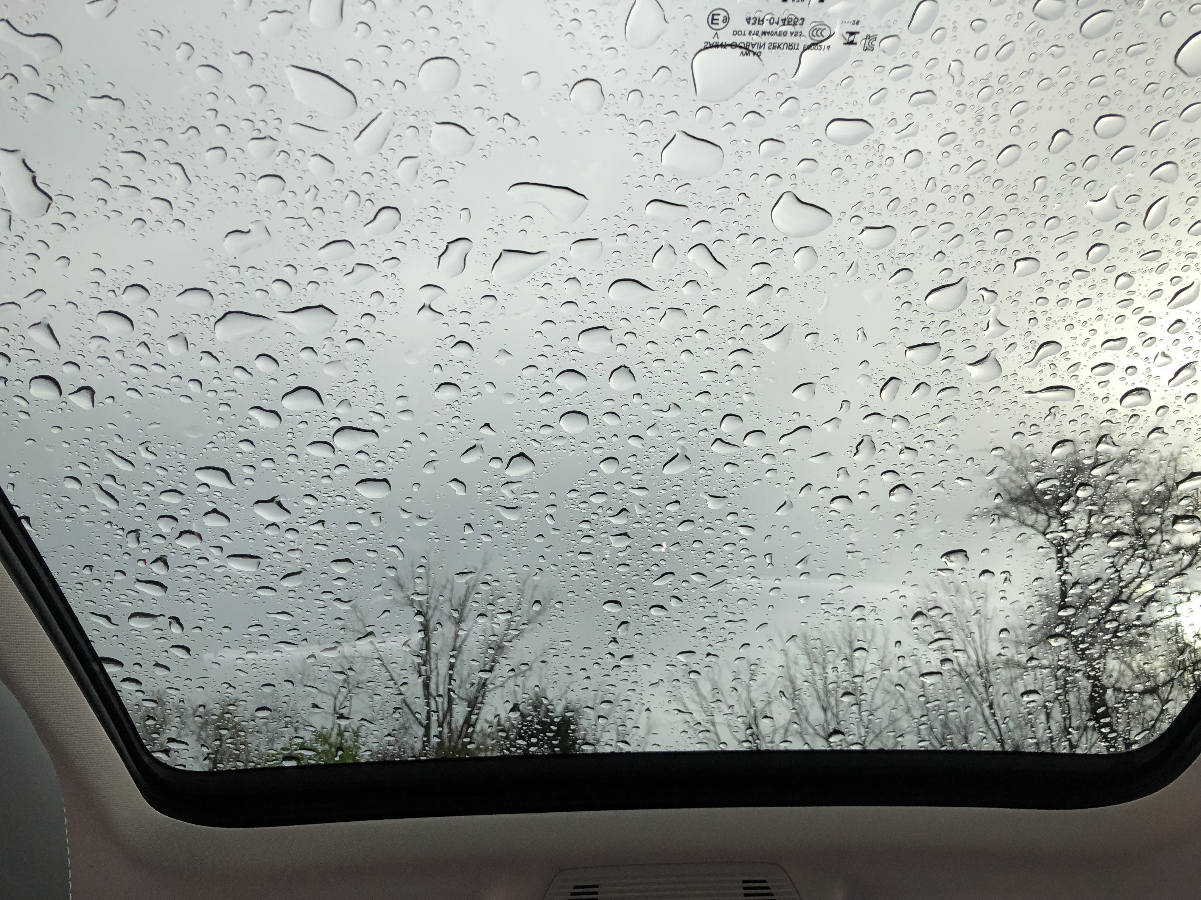 2026 Volkswagen Tiguan SE w/panoramic sunroof
