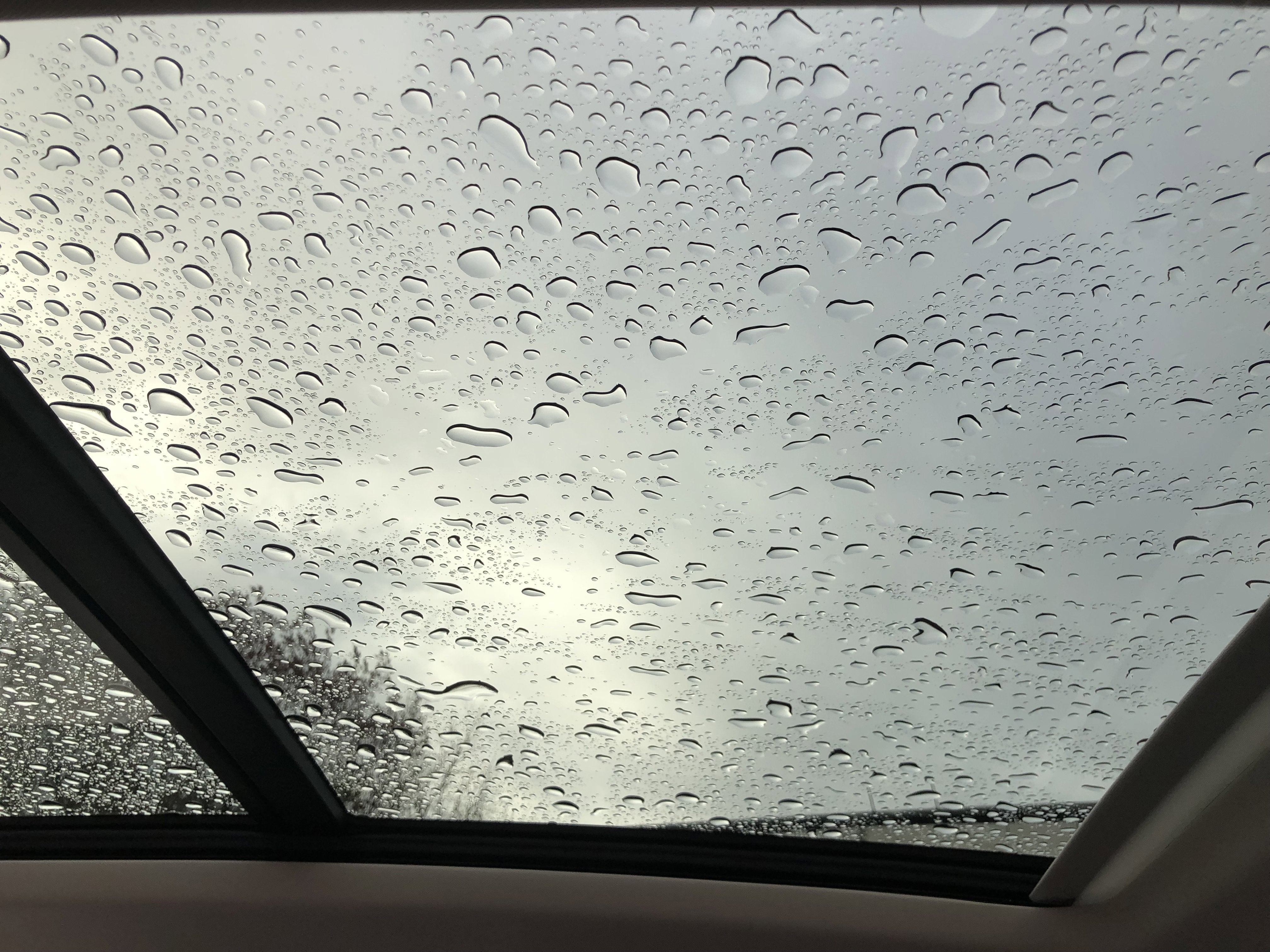 2026 Volkswagen Tiguan SE w/panoramic sunroof