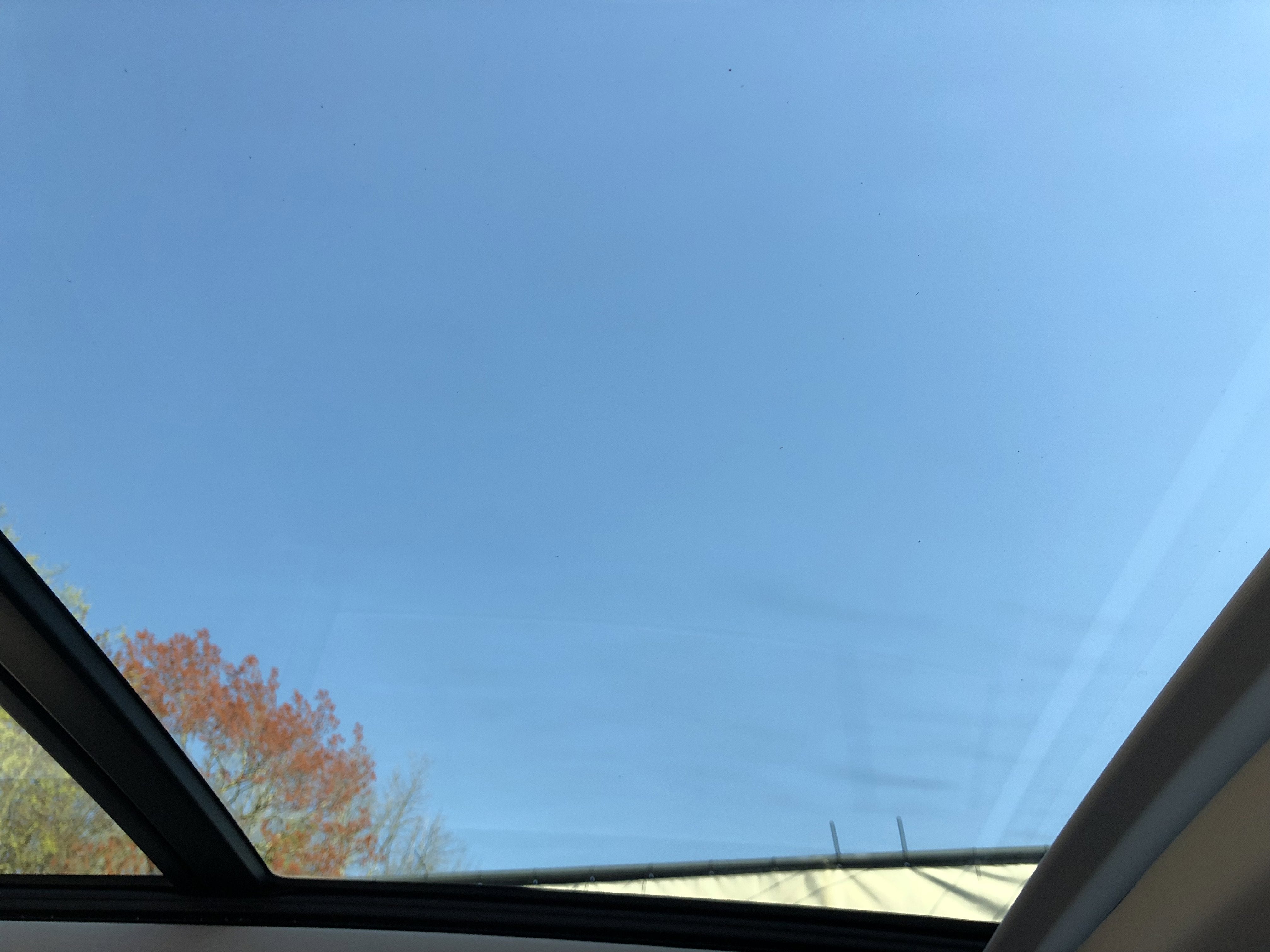 2026 Volkswagen Tiguan SE w/panoramic sunroof