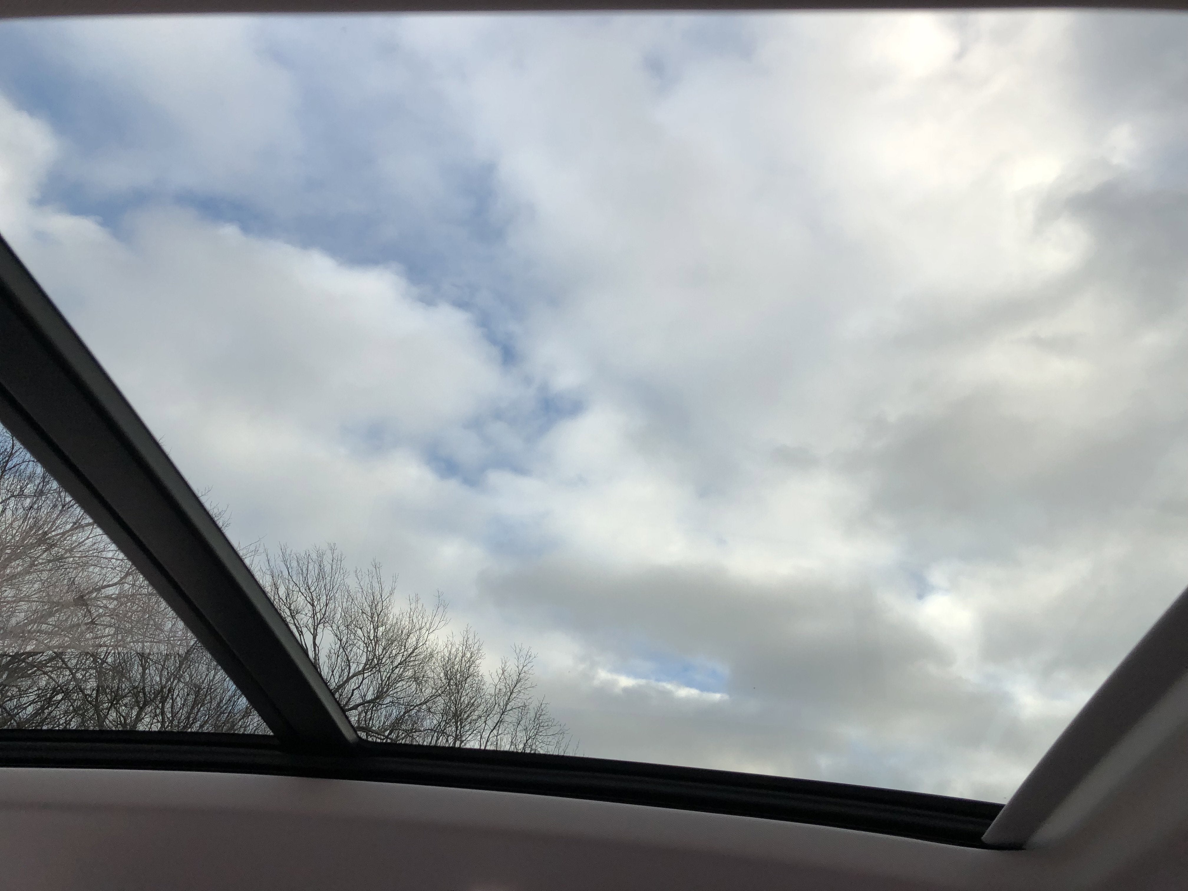 2026 Volkswagen Tiguan SE w/panoramic sunroof
