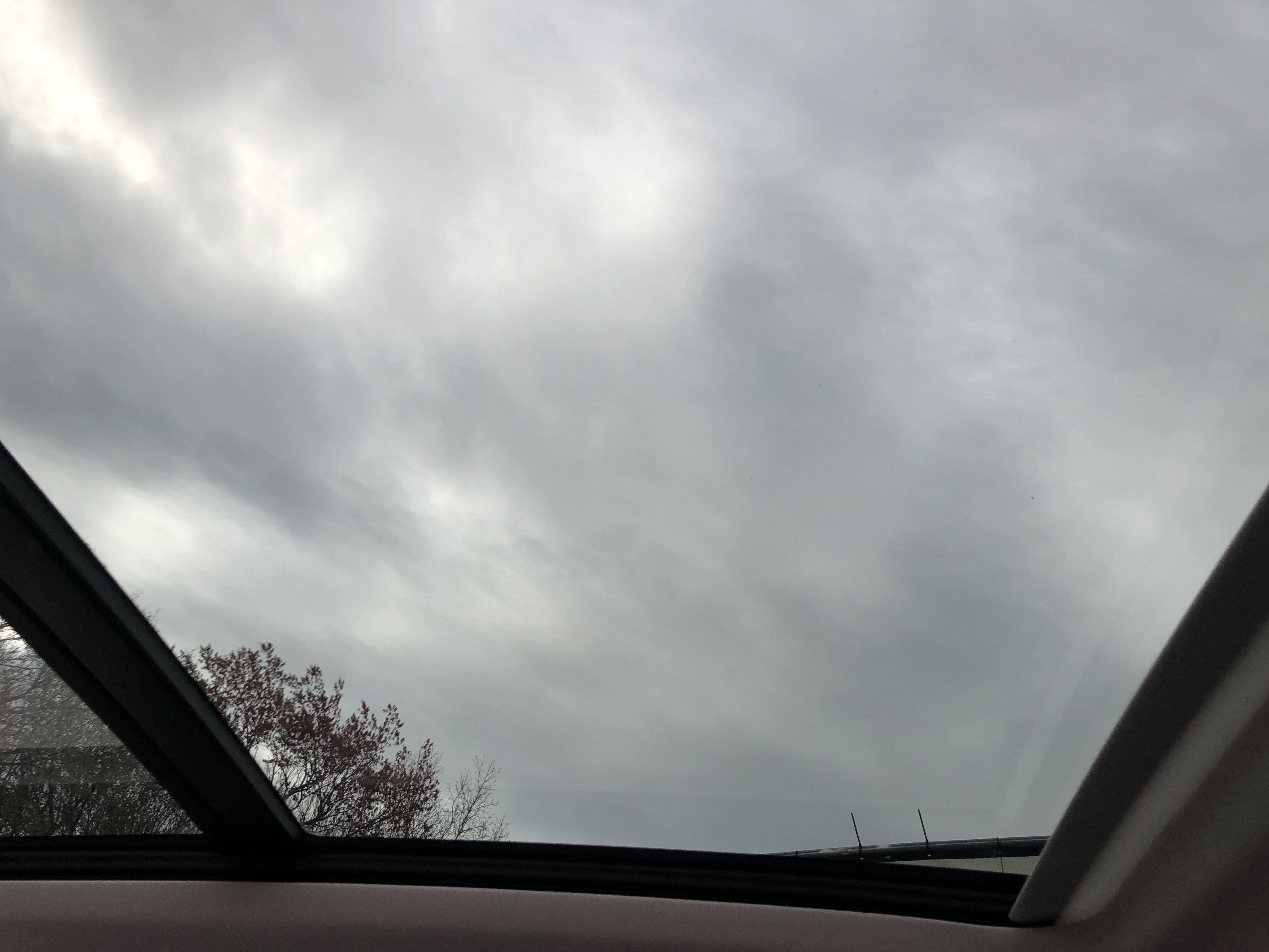 2026 Volkswagen Tiguan SE w/panoramic sunroof