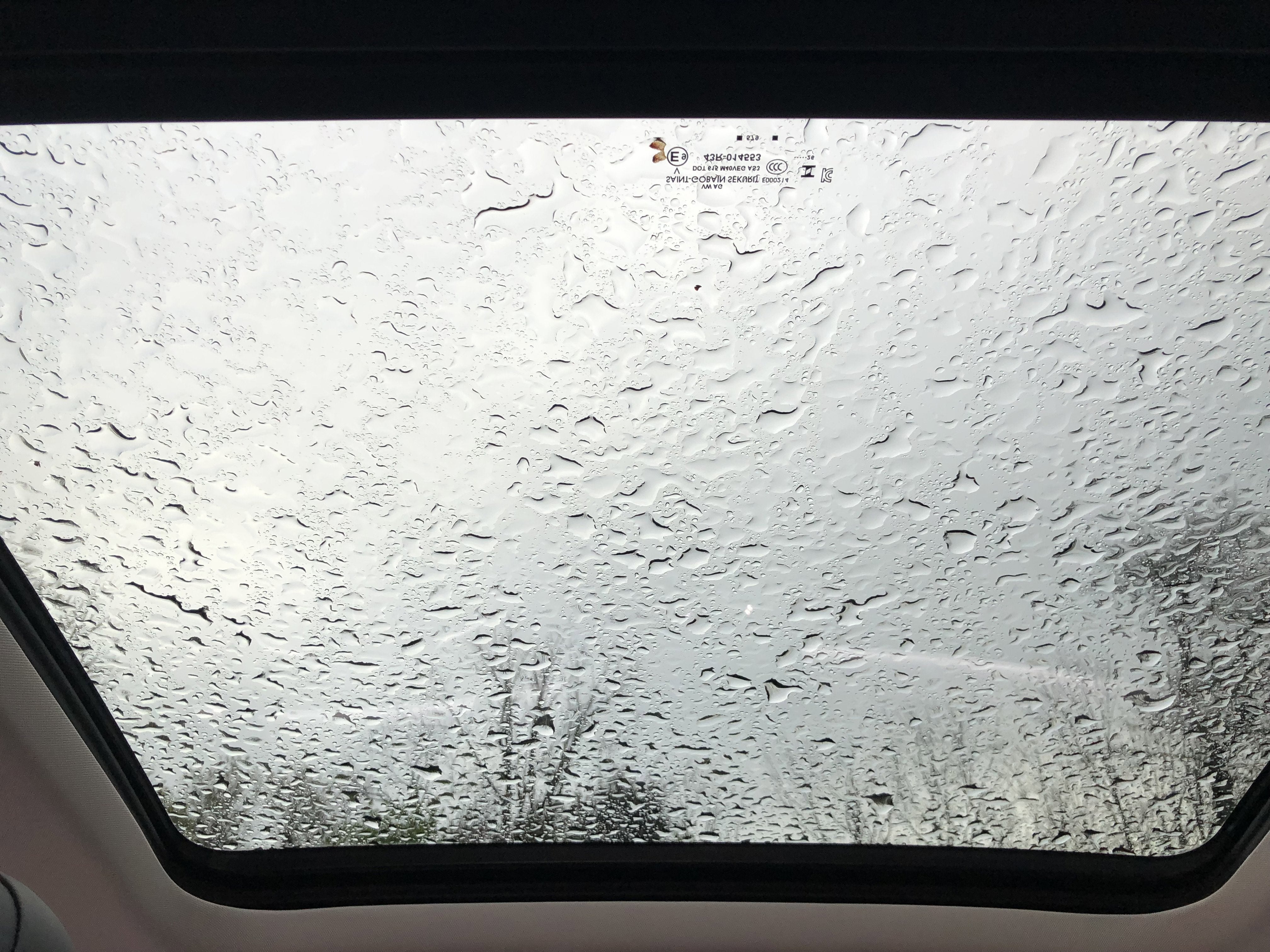 2026 Volkswagen Tiguan SE w/panoramic sunroof
