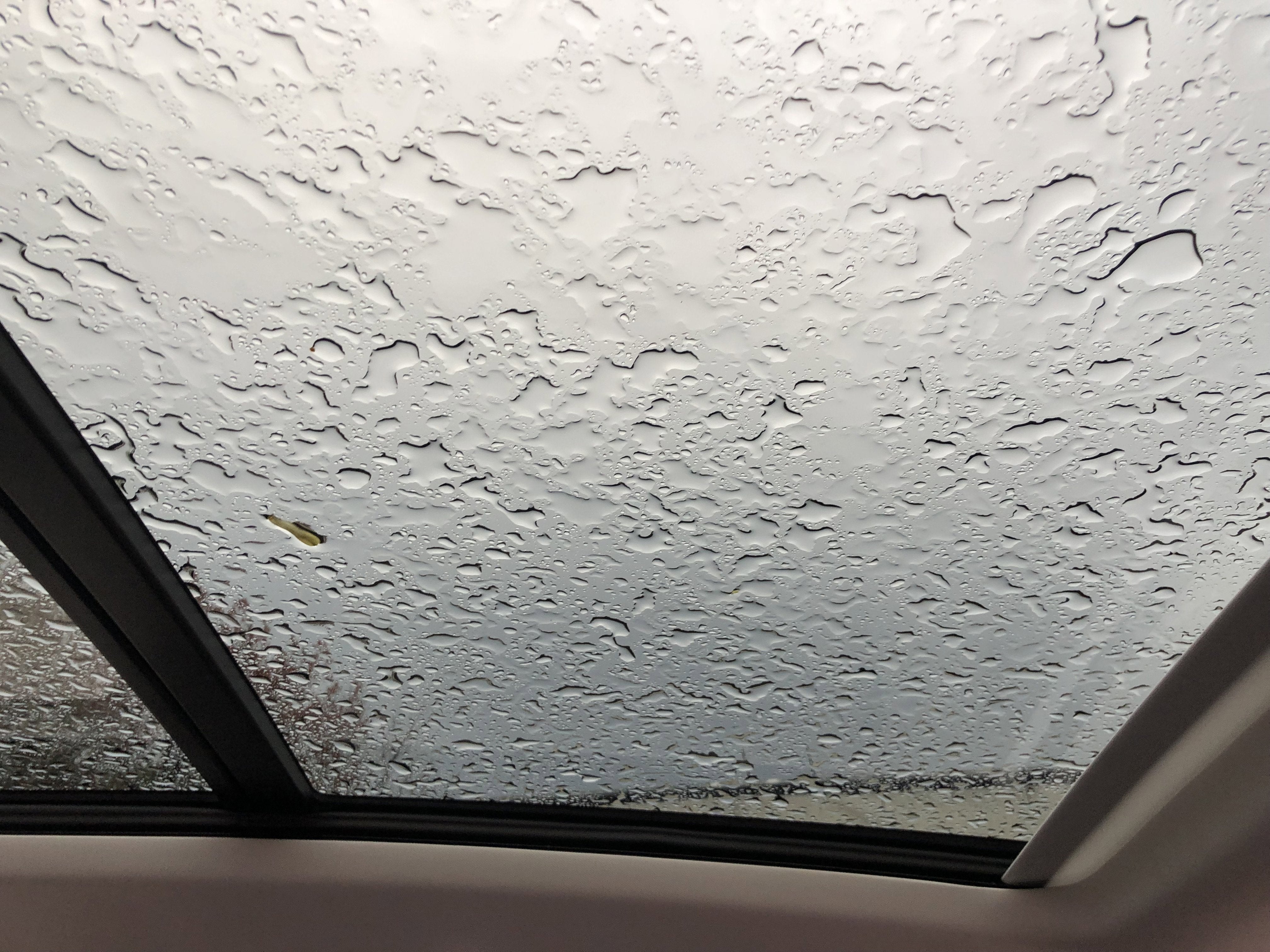 2026 Volkswagen Tiguan SE w/panoramic sunroof