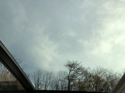 2026 Volkswagen Tiguan SE w/panoramic sunroof