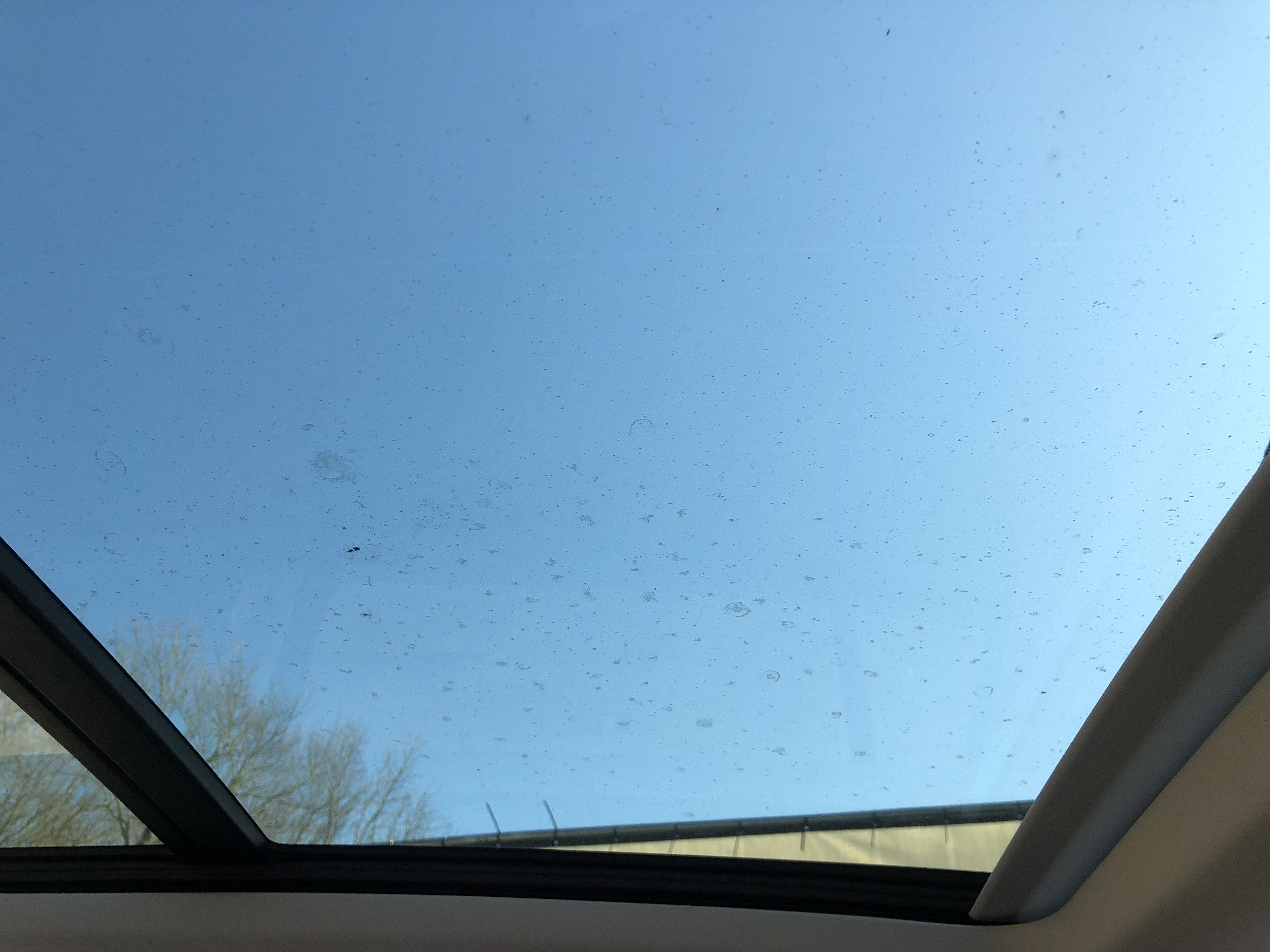 2026 Volkswagen Tiguan SE w/panoramic sunroof