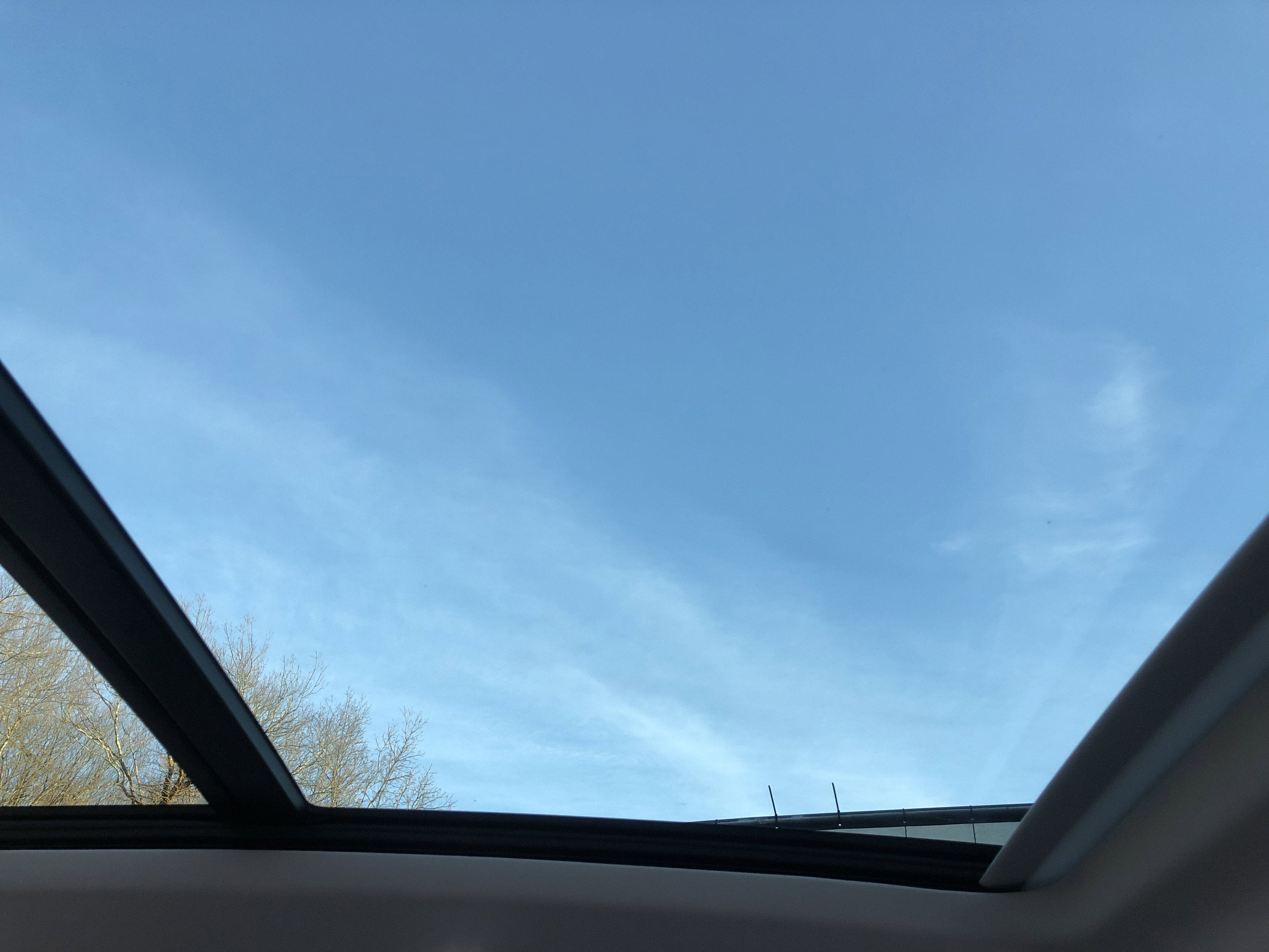 2026 Volkswagen Tiguan SE w/panoramic sunroof