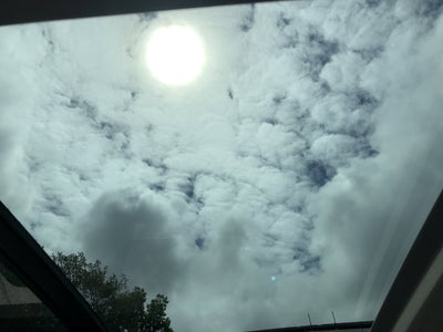 2026 Volkswagen Tiguan SE w/panoramic sunroof
