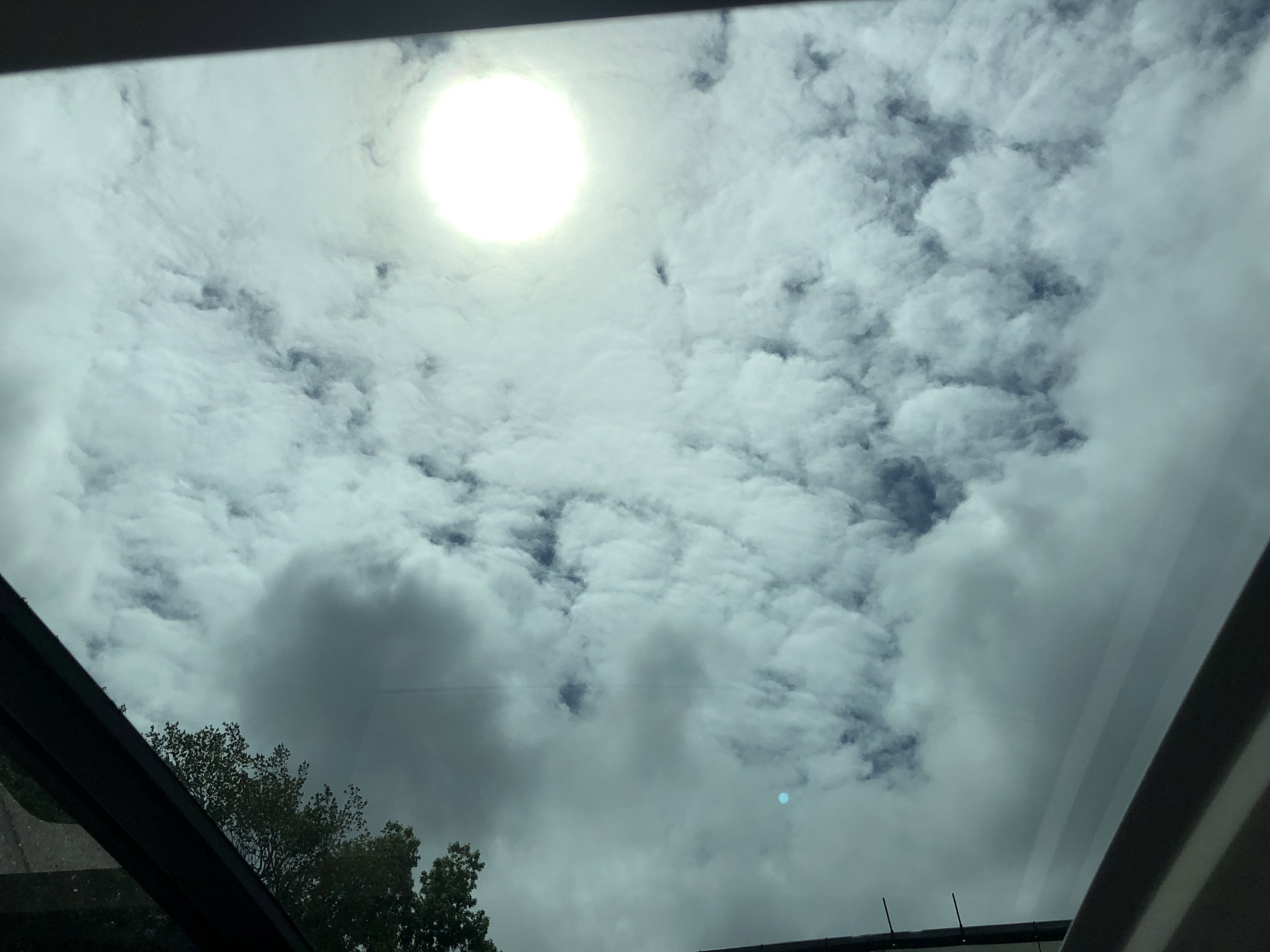 2026 Volkswagen Tiguan SE w/panoramic sunroof