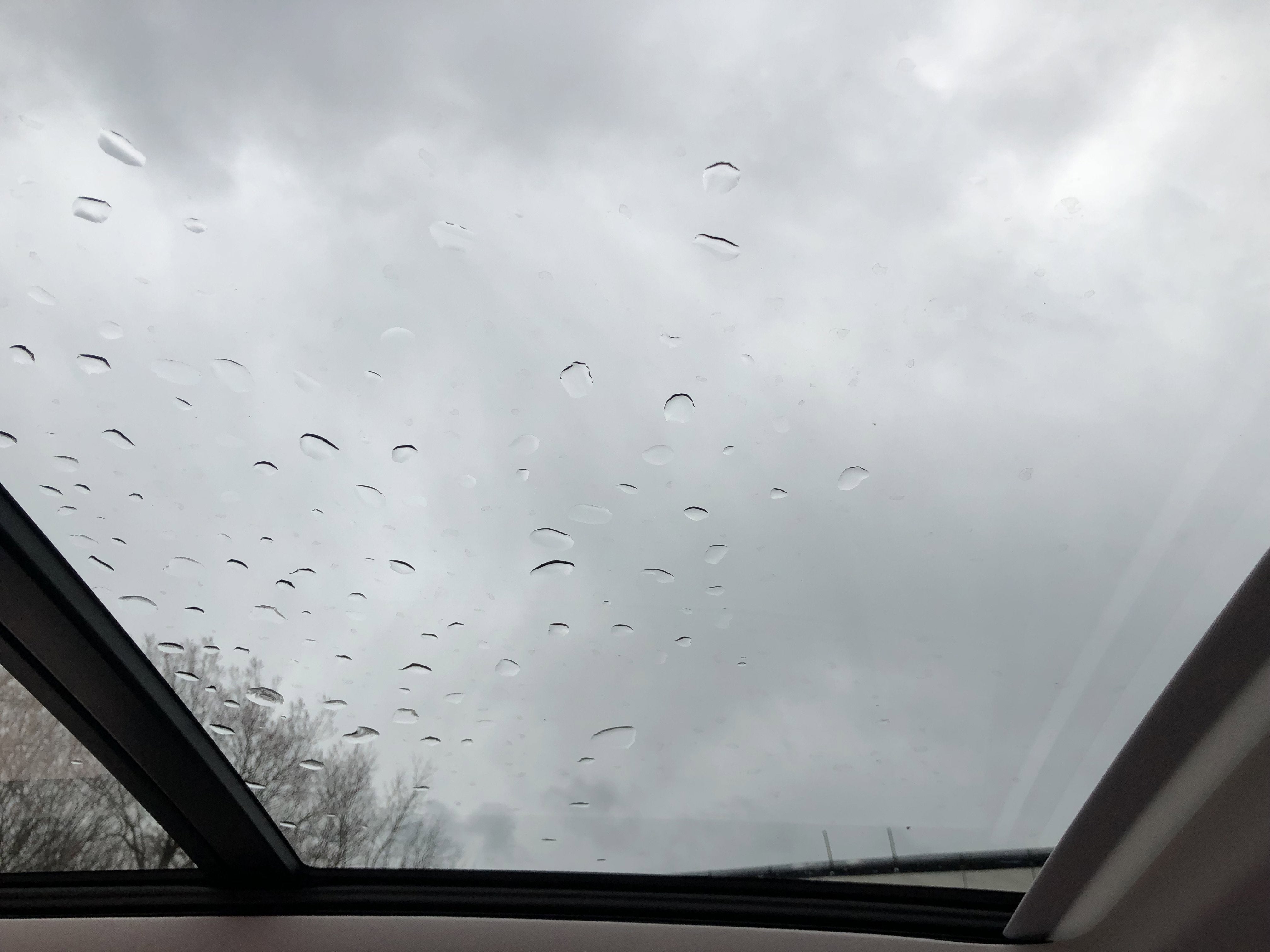 2026 Volkswagen Tiguan SE w/panoramic sunroof