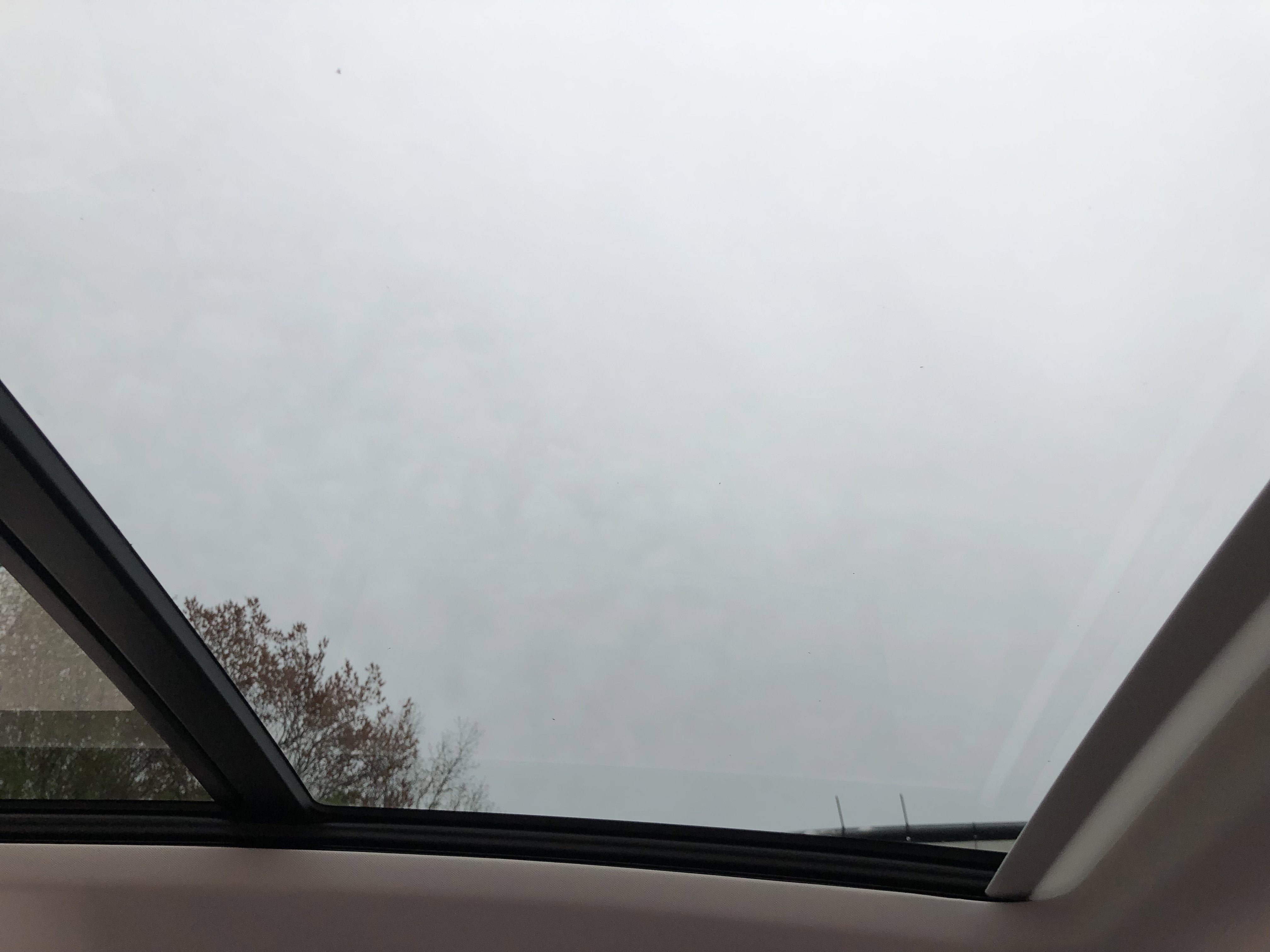 2026 Volkswagen Tiguan SE w/panoramic sunroof
