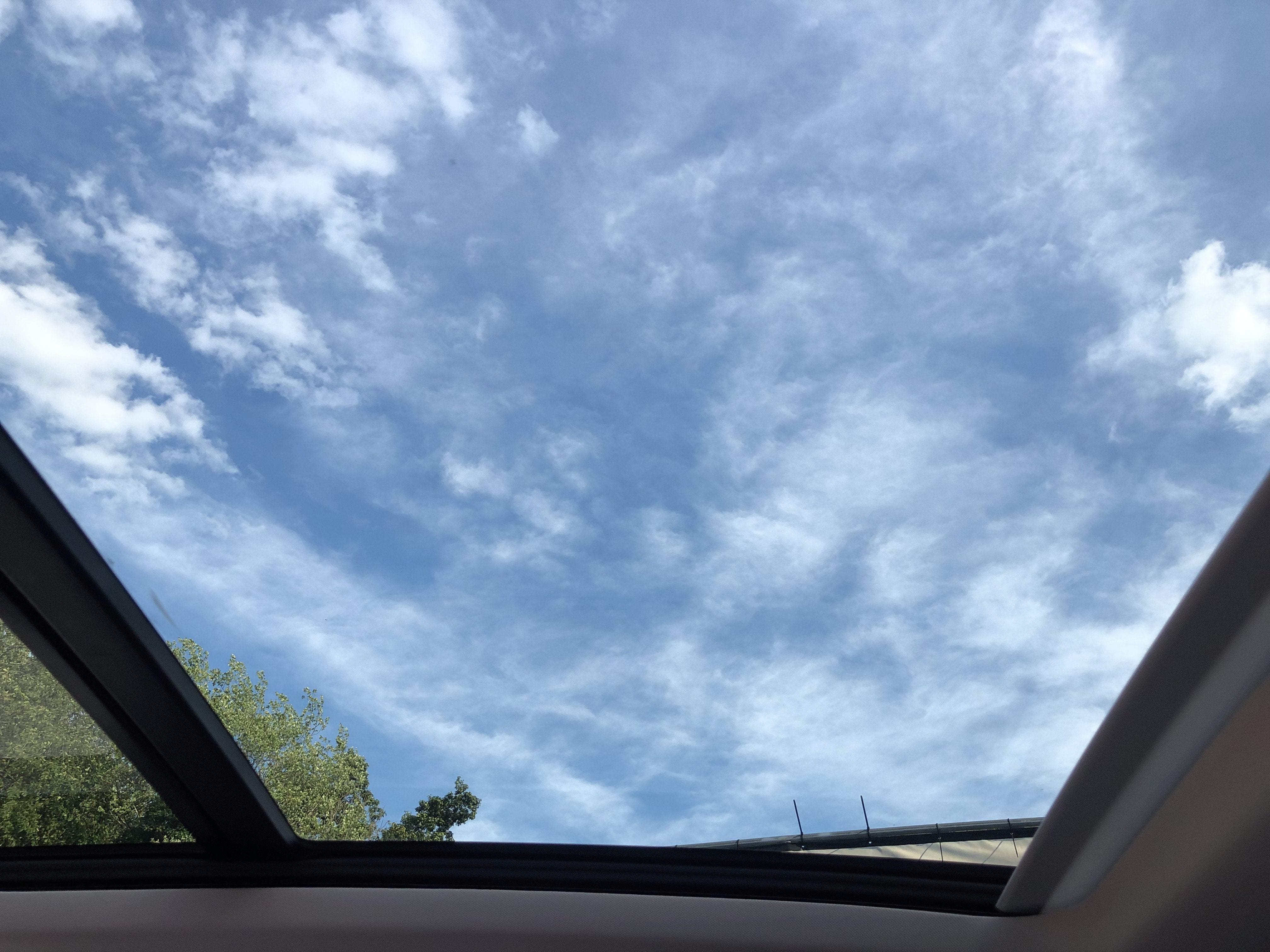 2026 Volkswagen Tiguan SE w/panoramic sunroof