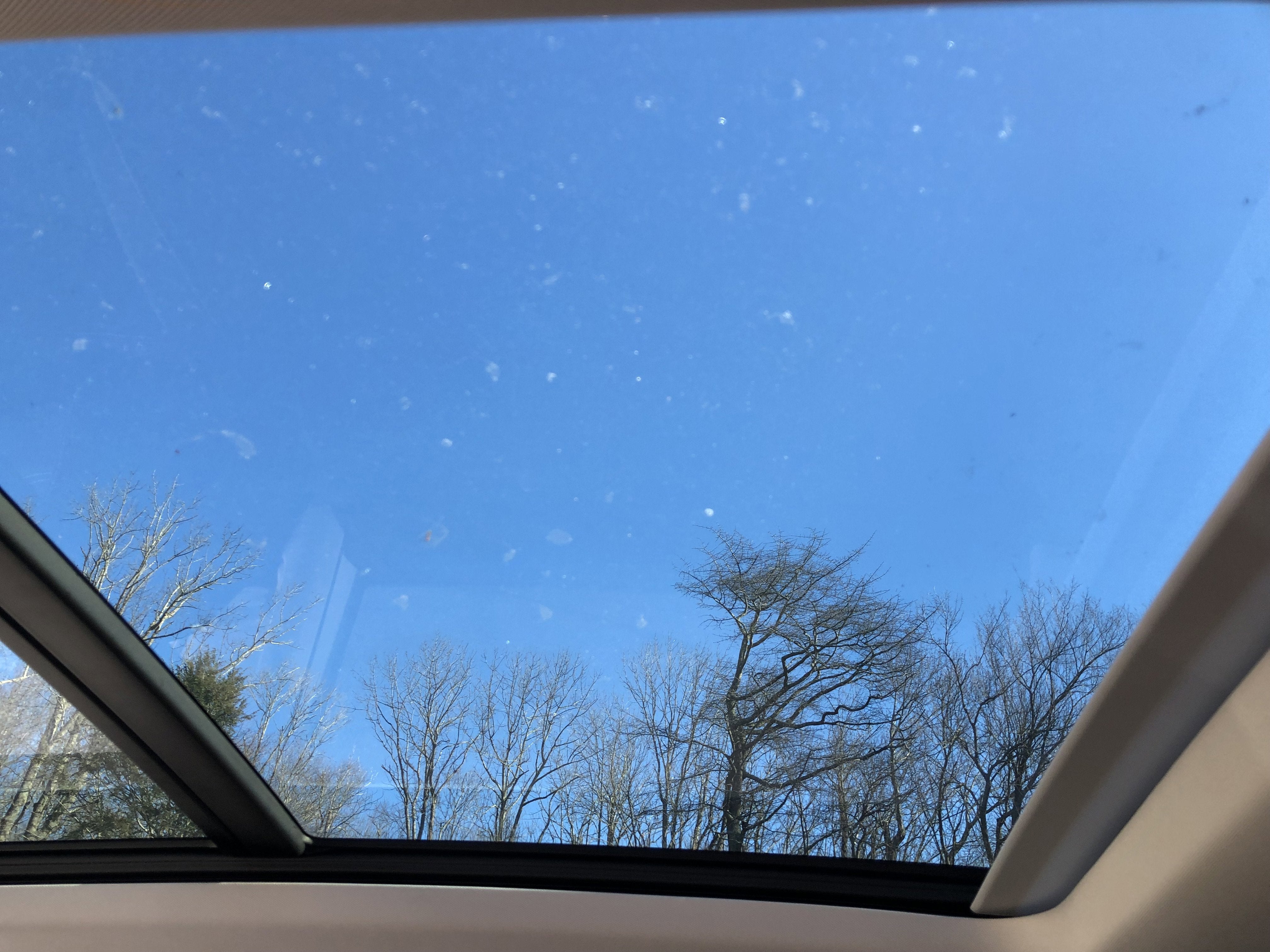 2026 Volkswagen Tiguan SE w/panoramic sunroof