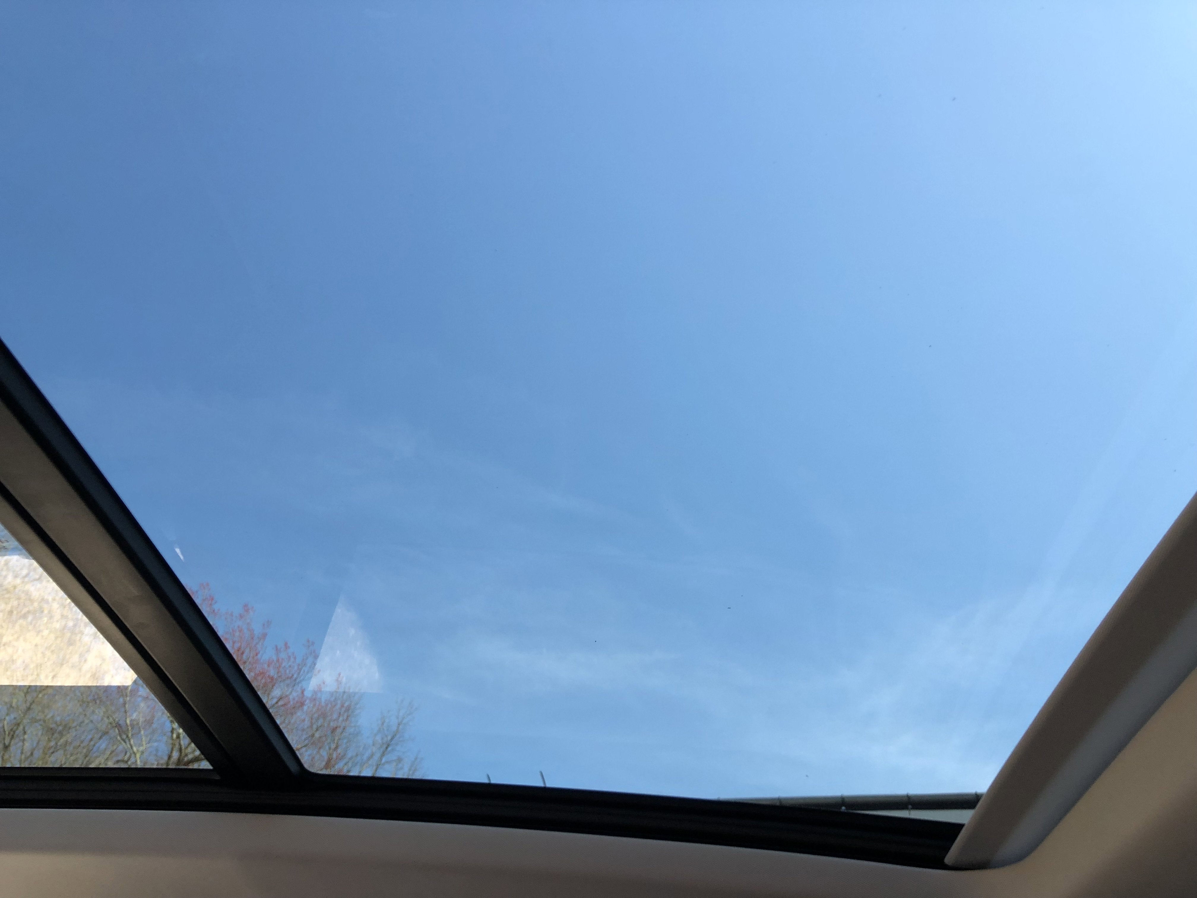 2026 Volkswagen Tiguan SE w/panoramic sunroof