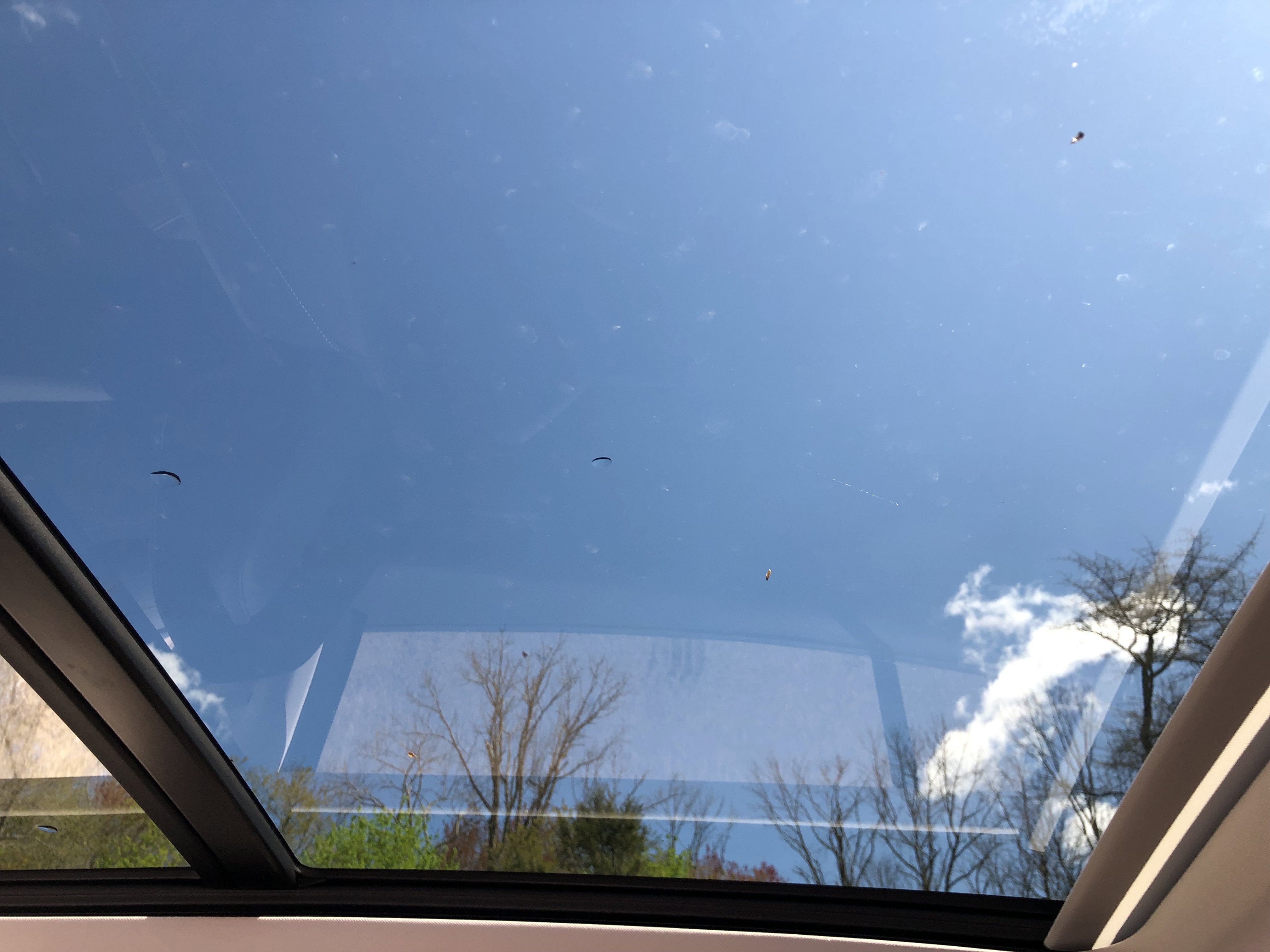 2026 Volkswagen Tiguan SE w/panoramic sunroof