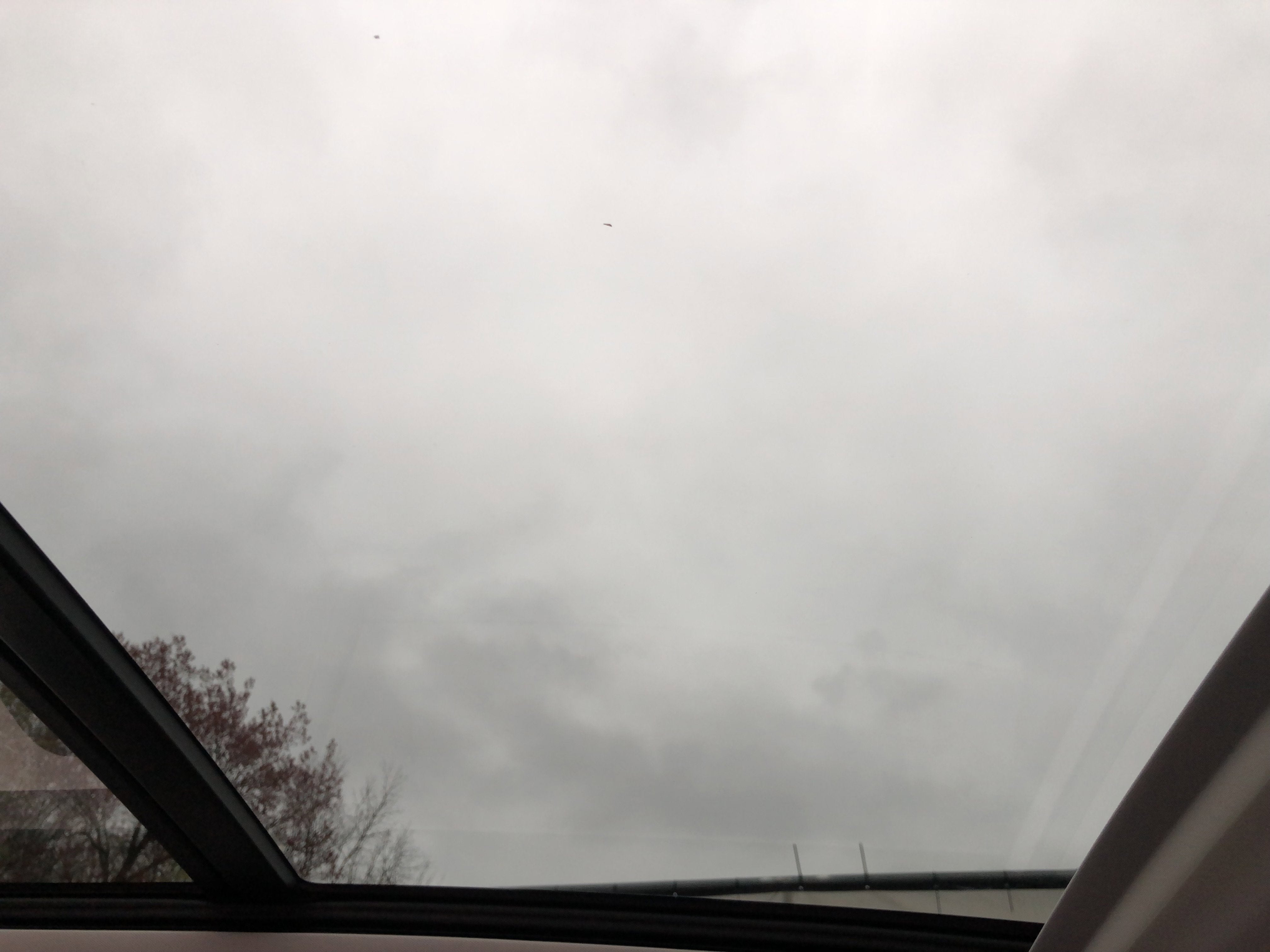 2026 Volkswagen Tiguan SE w/panoramic sunroof