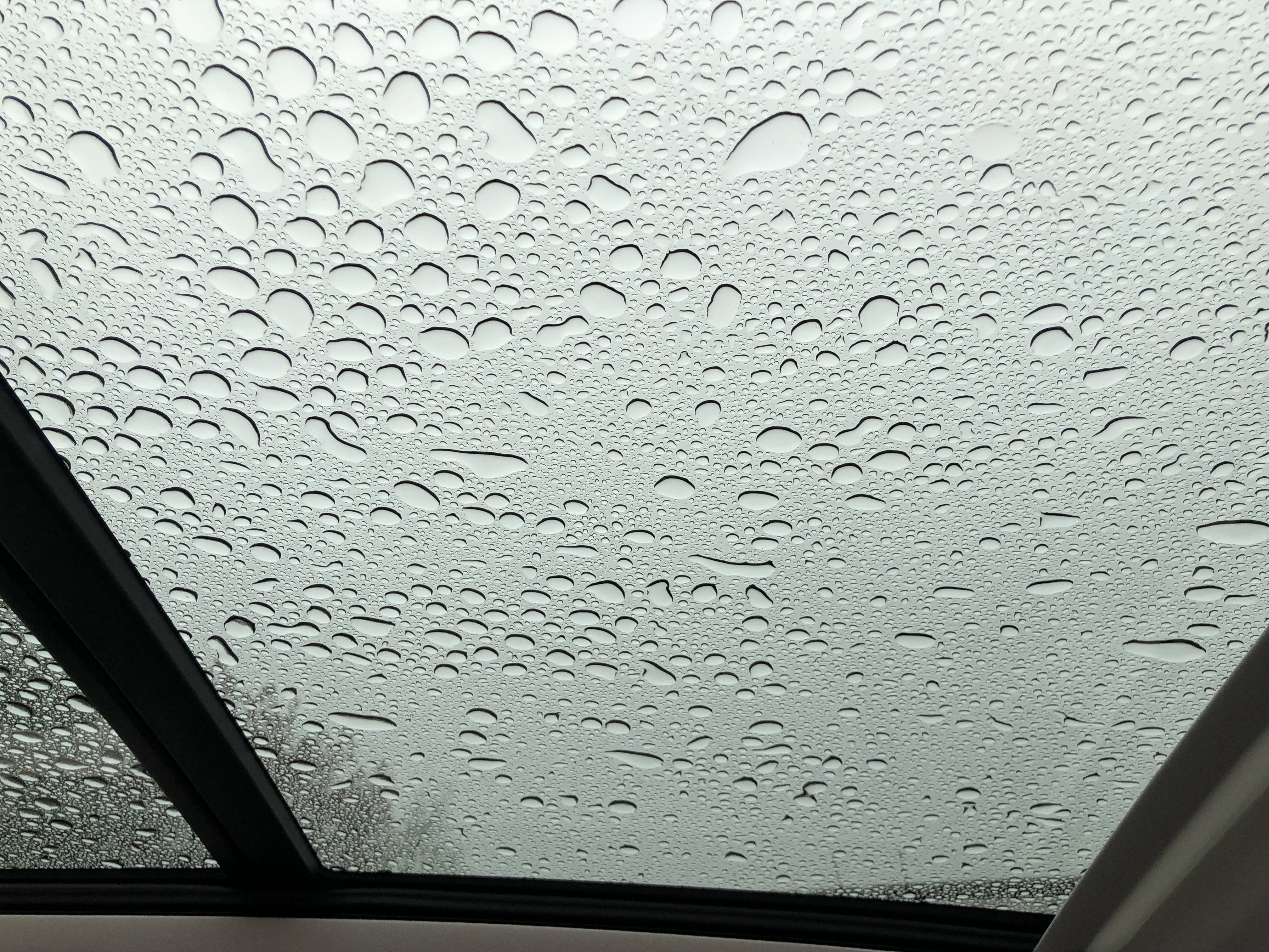 2026 Volkswagen Tiguan SE w/panoramic sunroof