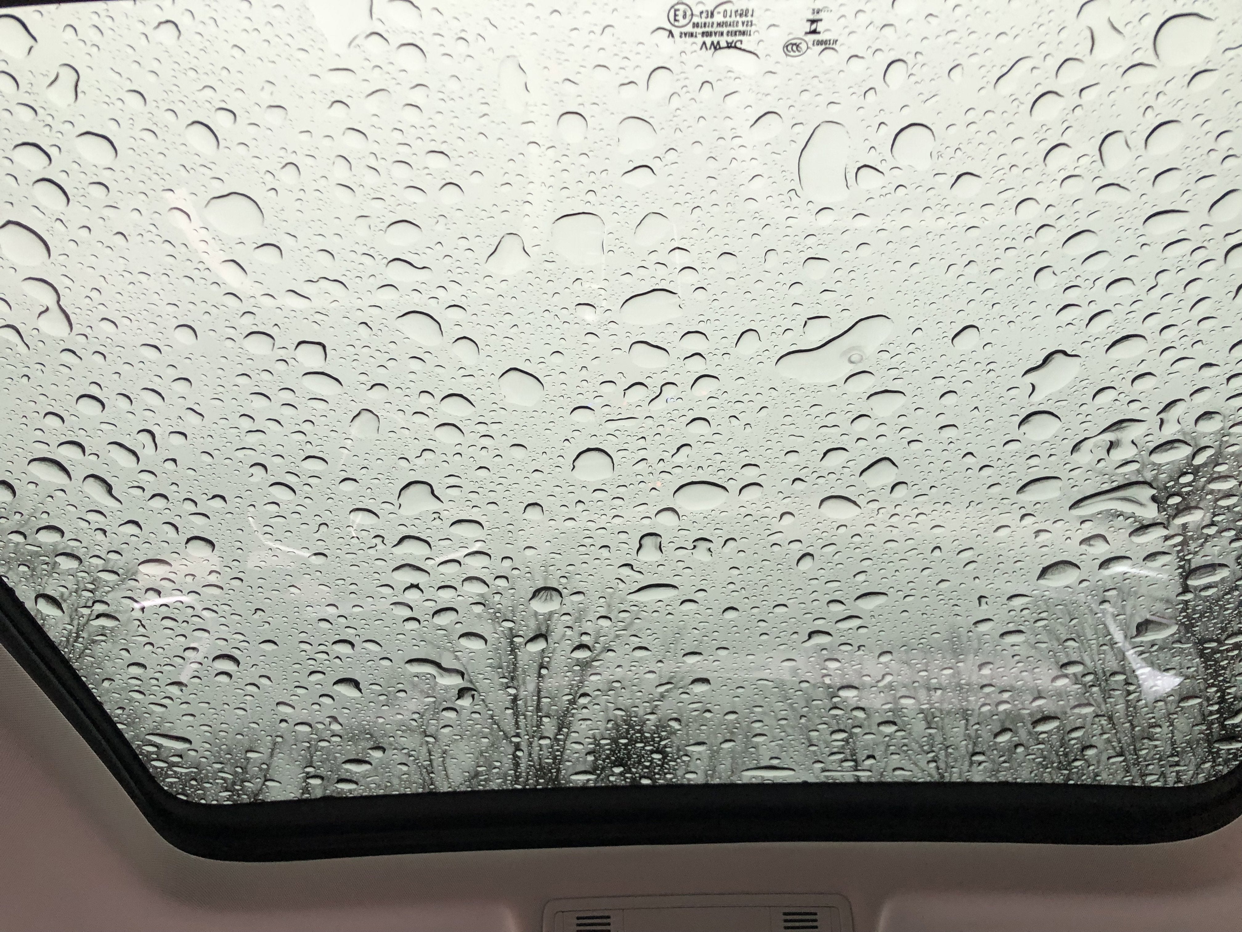 2026 Volkswagen Taos SE w/panoramic sunroof