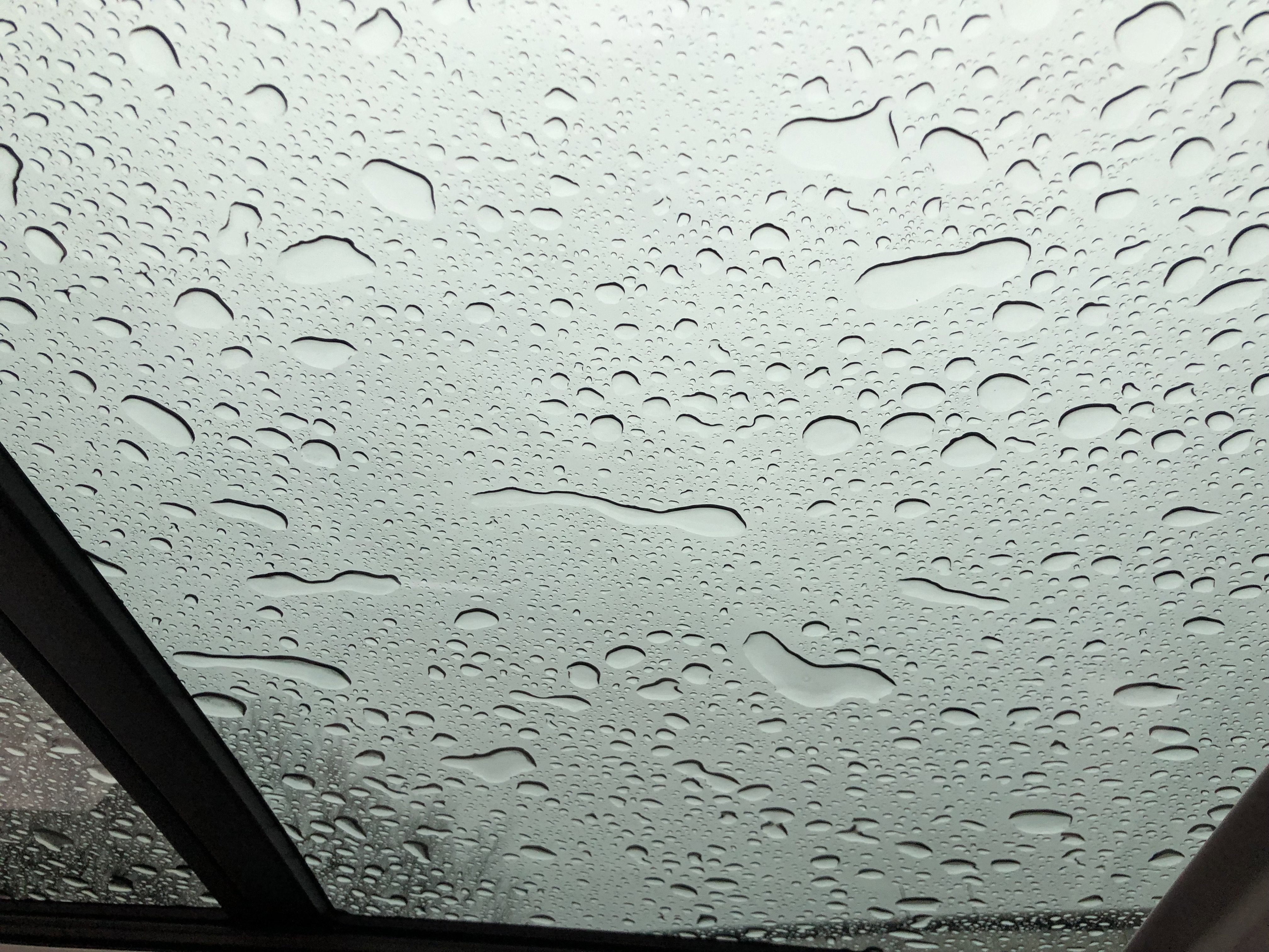 2026 Volkswagen Taos SE w/panoramic sunroof