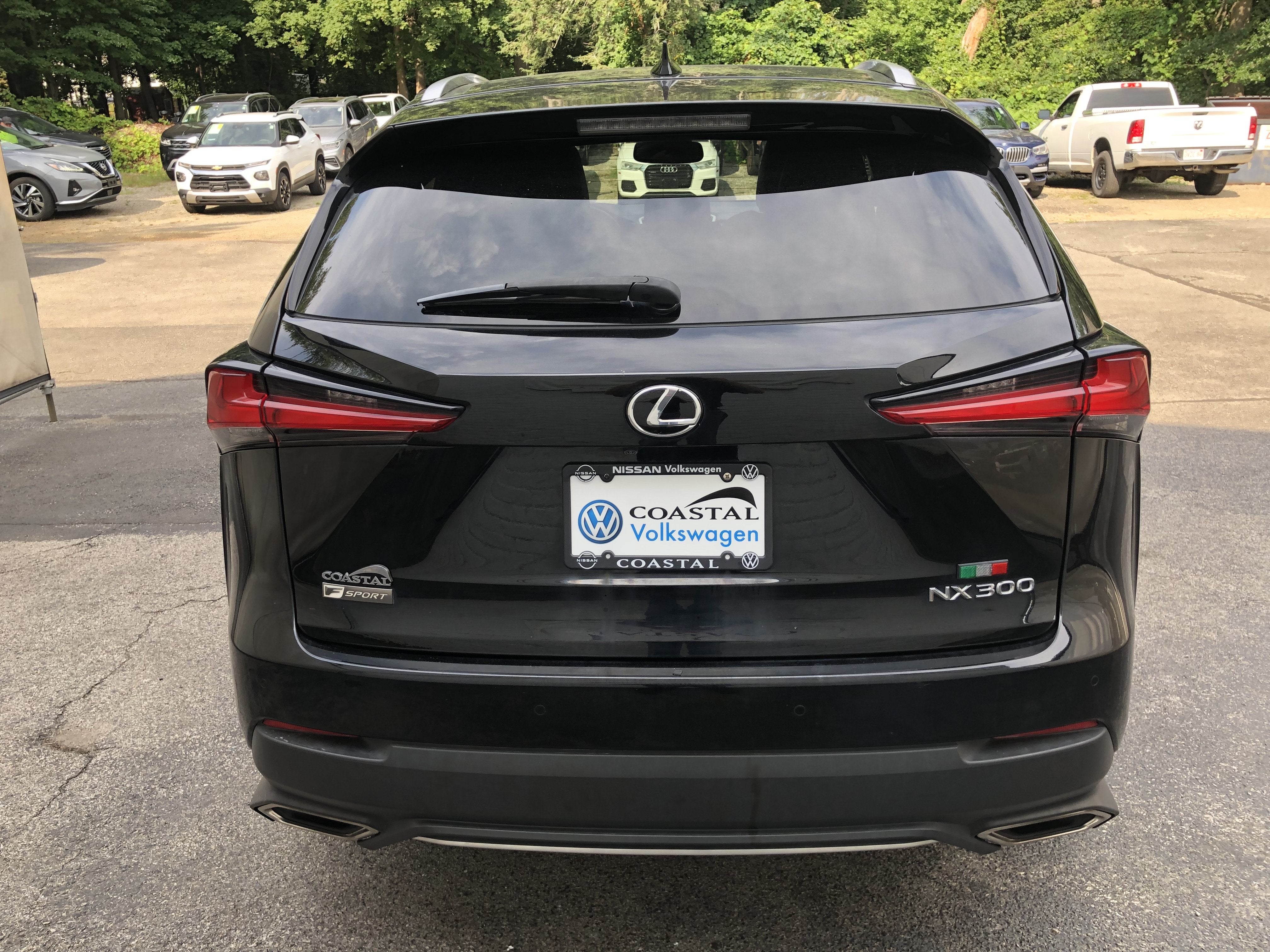 2020 Lexus NX NX 300 F SPORT
